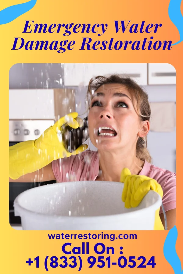 Emergency Water Damage Restoration in Joslin, IL