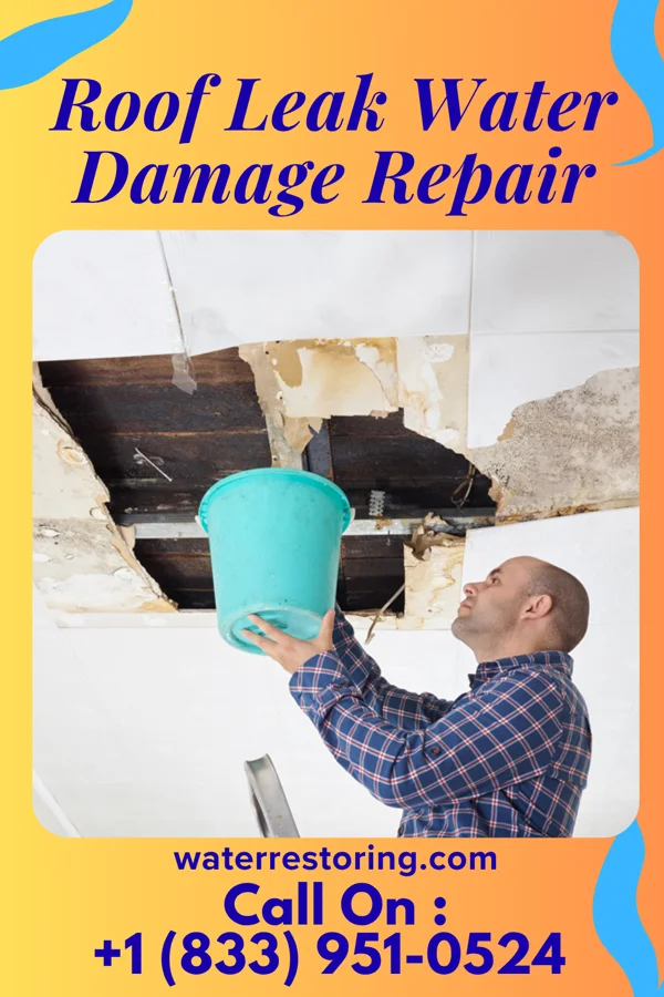 Roof Leak Water Damage Repair in Joslin, IL